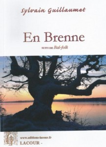 pochette-recueil-en-brenne-bal-folk-2